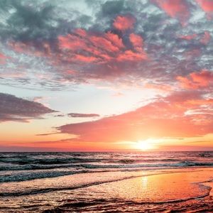 Meet your Posher, Stella